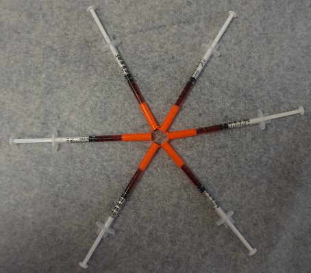 B12 Shots