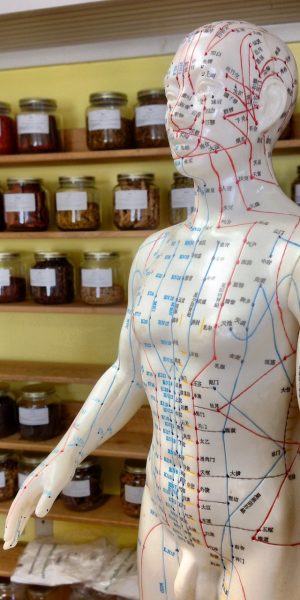 acup-doll-herbs Acupuncture